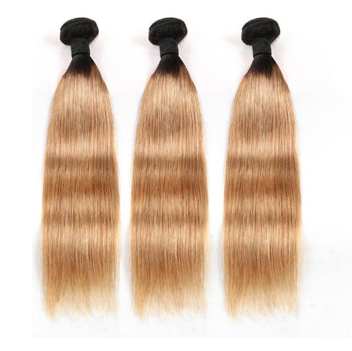 Brazilian T1B/27 Ombre Straight Virgin Hair  Bundles with 4x4 Closure